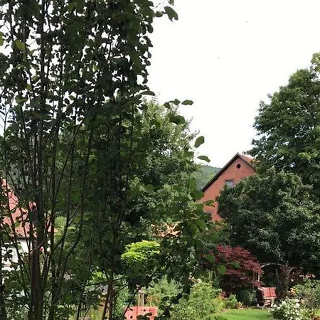 Apartman 1 Mainblick Brigitte *